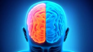 Cara Menyeimbangkan Otak Kiri dan Otak Kanan