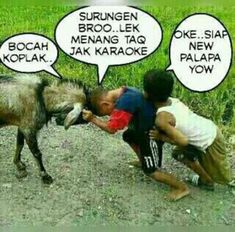 Gambar lucu anak kecil adu tanduk