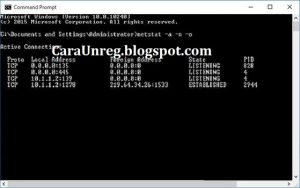 Cara Melacak Nomor WA
