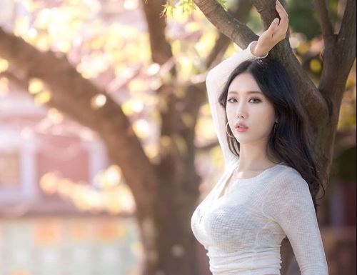 Yandex bokeh mean in japanese