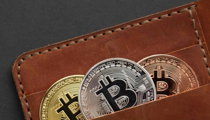 Apa itu Crypto Wallet atau Dompet Kripto